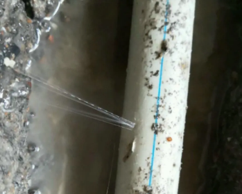 保靖卫生间测漏水多少钱